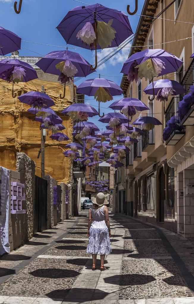 Apartamentos Tierra Lavanda بريويغا المظهر الخارجي الصورة